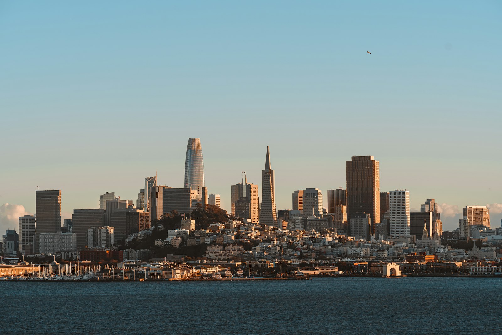 Image d'illustration — panorama de San Francisco, où Databricks a son siège.