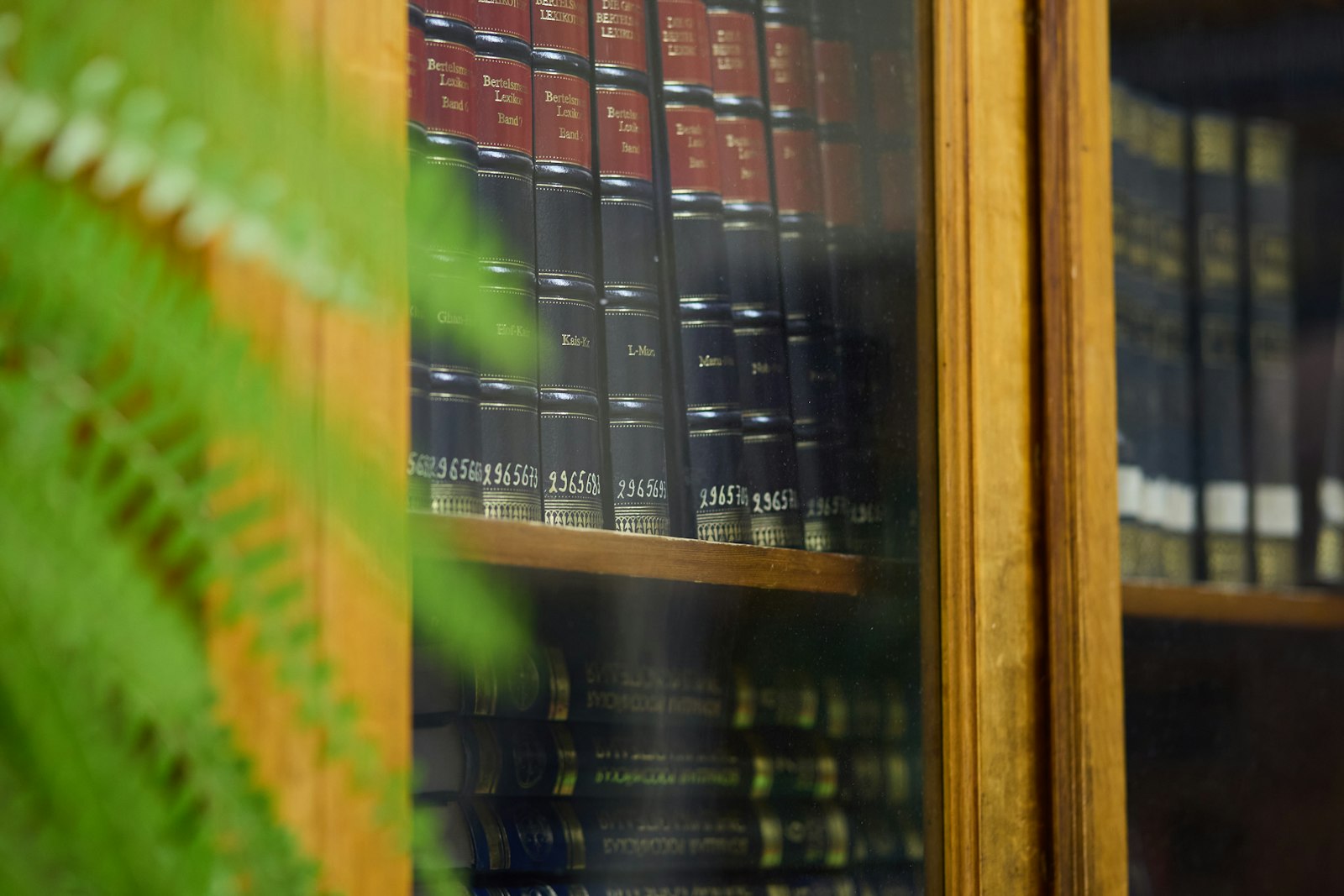 Image d'illustration — rayonnages d'une bibliothèque juridique